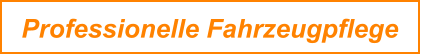 Professionelle Fahrzeugpflege