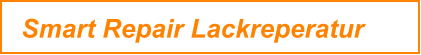 Smart Repair Lackreperatur