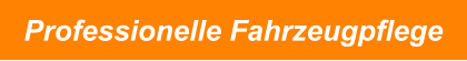 Professionelle Fahrzeugpflege