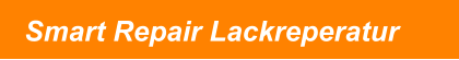 Smart Repair Lackreperatur